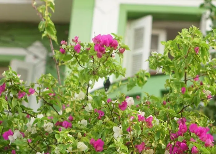 Hostal Poa Eco