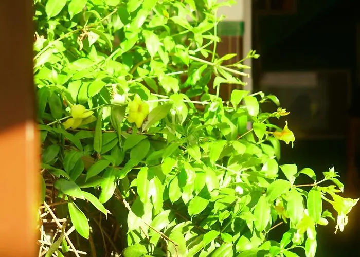 Hostal Poa Eco *